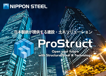 ProStruct®